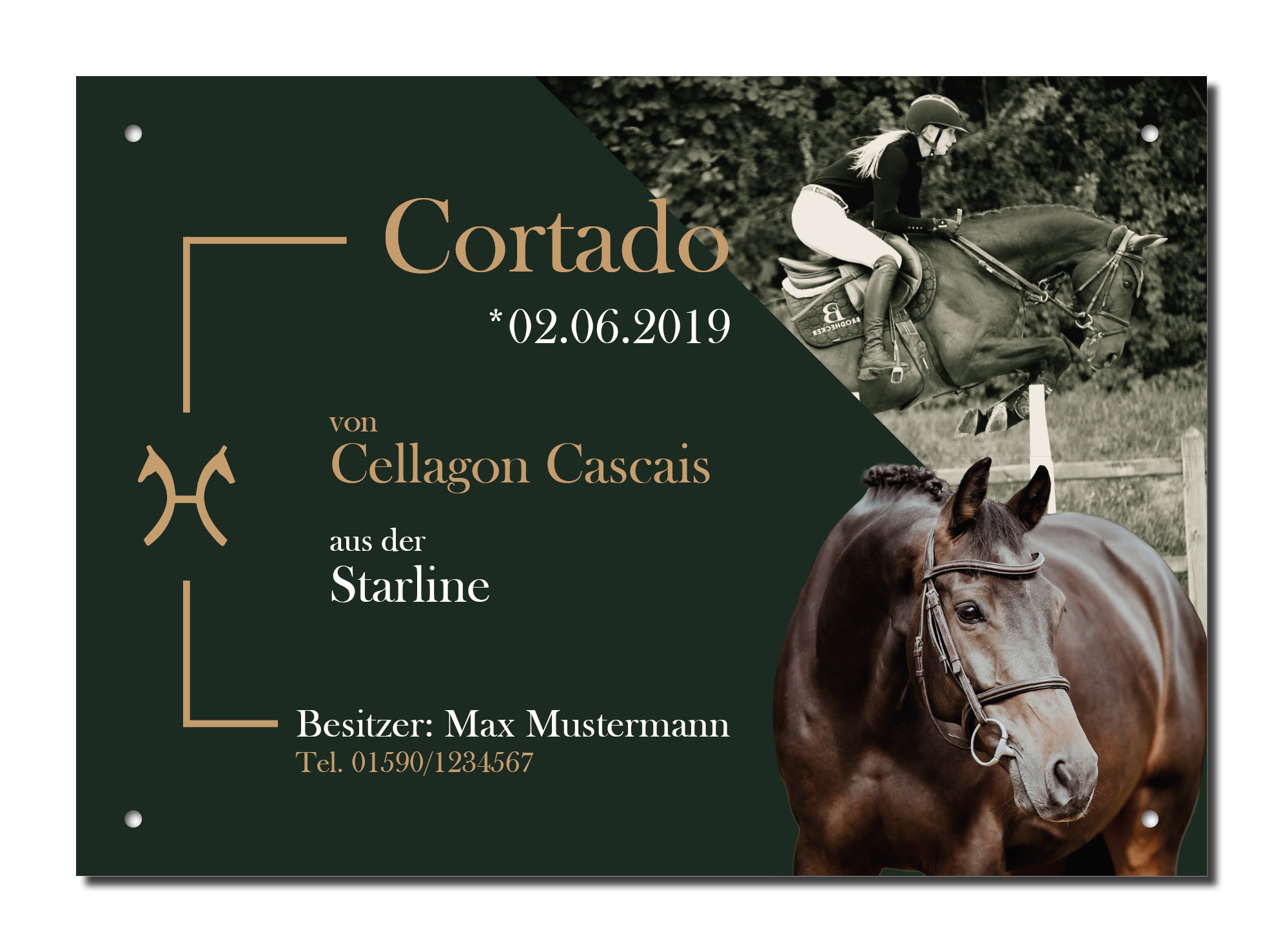 Design-Boxenschild CORNET – Personalisiertes Boxenschild für Pferde (DIN A4, wetterfest & UV-beständig)