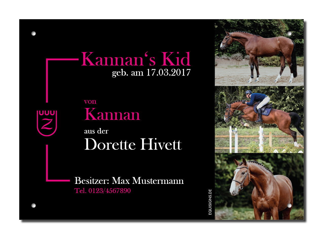 Design-Boxenschild BALOU – Personalisiertes Boxenschild für Pferde (DIN A4, wetterfest & UV-beständig)