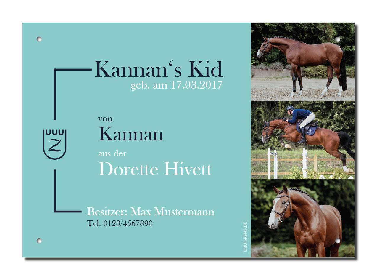 Design-Boxenschild BALOU – Personalisiertes Boxenschild für Pferde (DIN A4, wetterfest & UV-beständig)