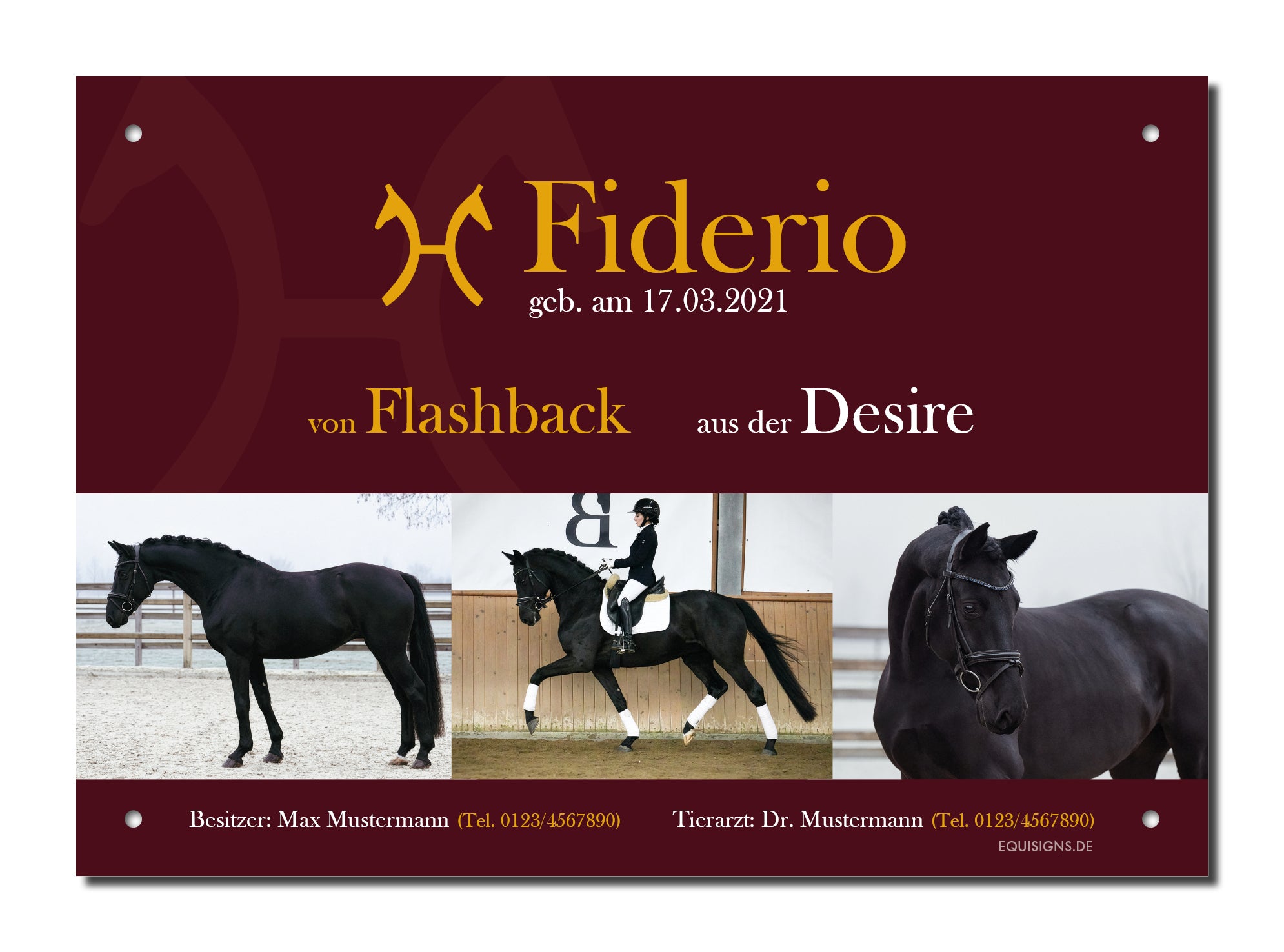 Design-Boxenschild TOTILAS – Personalisiertes Boxenschild für Pferde (DIN A4, wetterfest & UV-beständig)