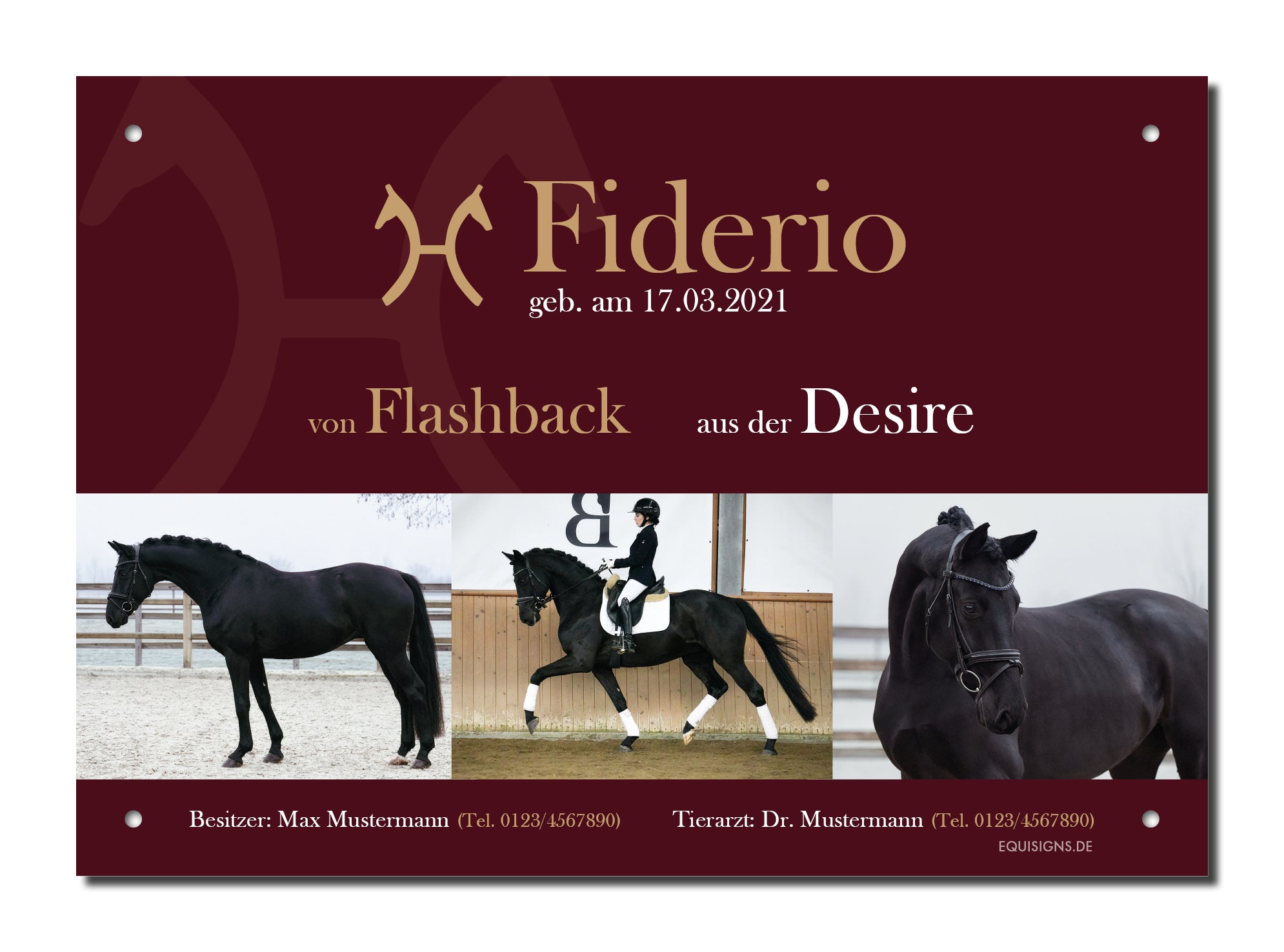 Design-Boxenschild TOTILAS – Personalisiertes Boxenschild für Pferde (DIN A4, wetterfest & UV-beständig)