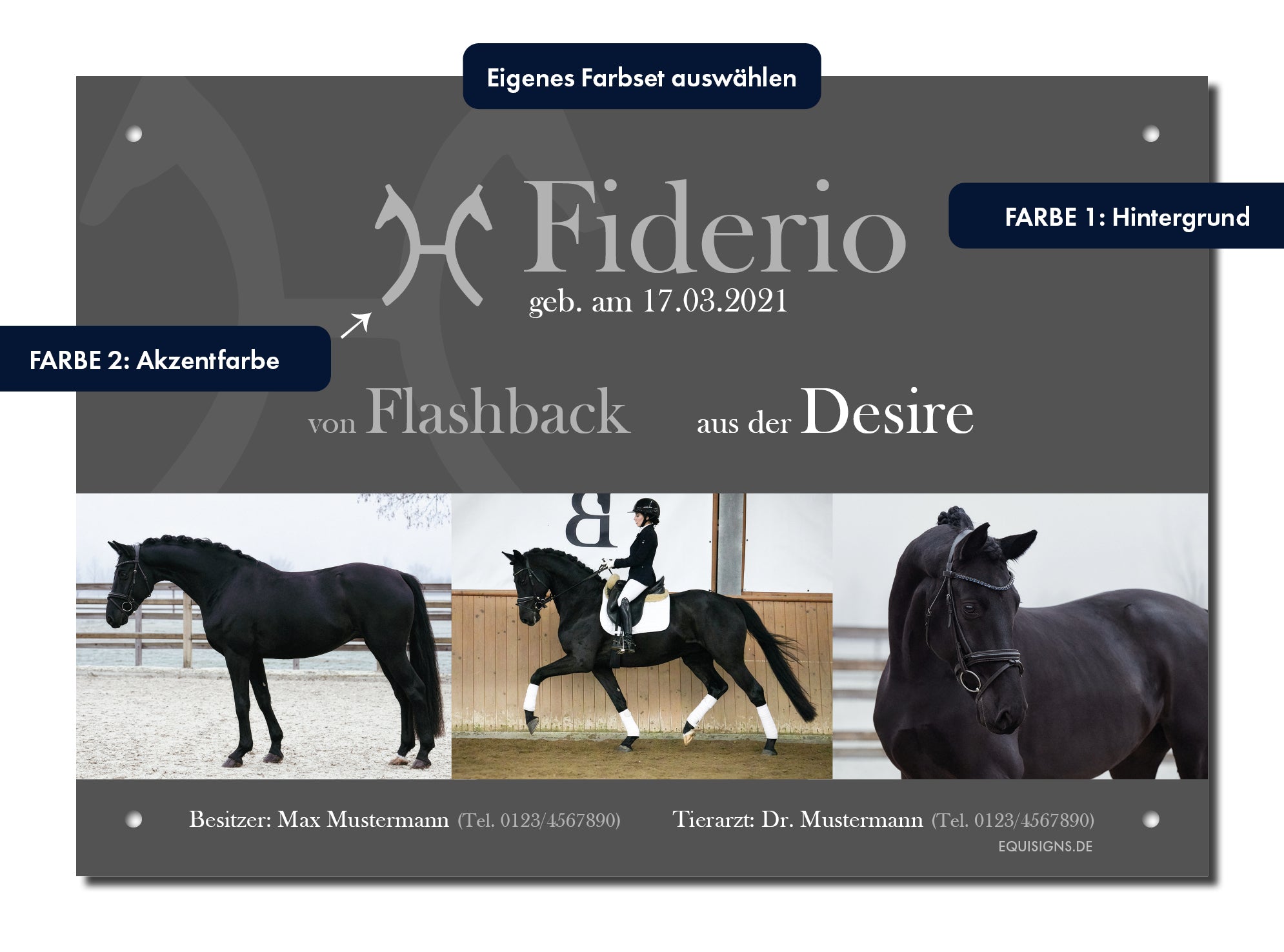 Design-Boxenschild TOTILAS – Personalisiertes Boxenschild für Pferde (DIN A4, wetterfest & UV-beständig)